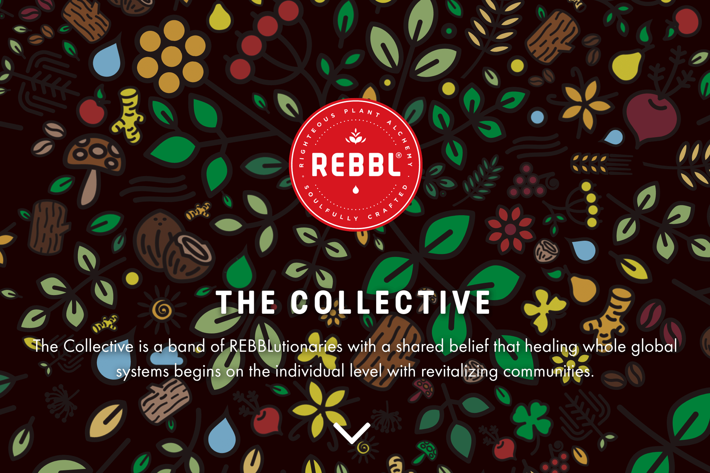 REBBL_Collective1170x780x2