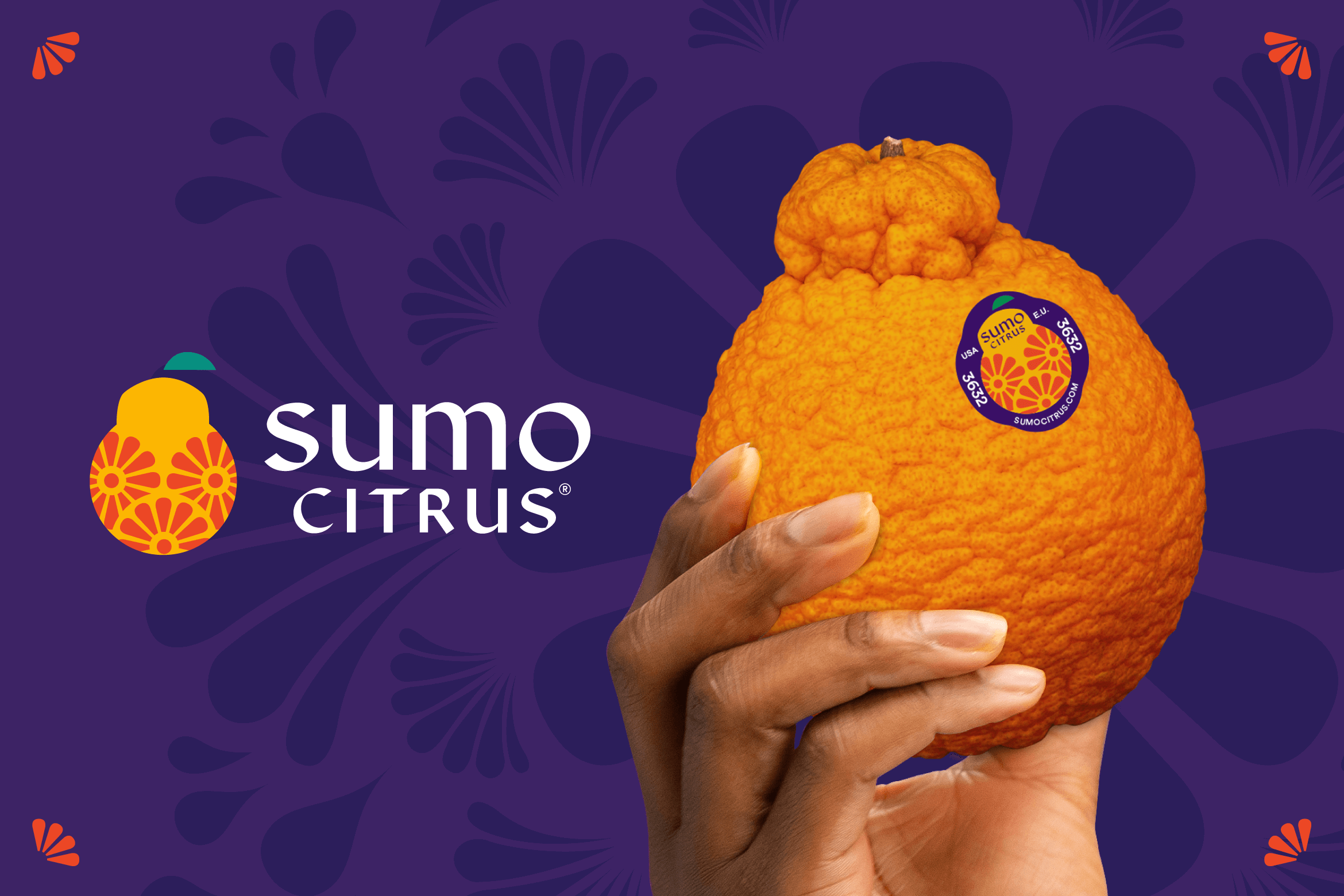 Sumo Citrus - Your favorite healthy obsession *might* still be in