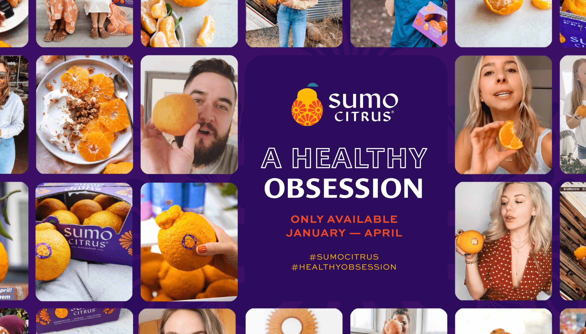 21-SBC_SumoCitrus_Obsession