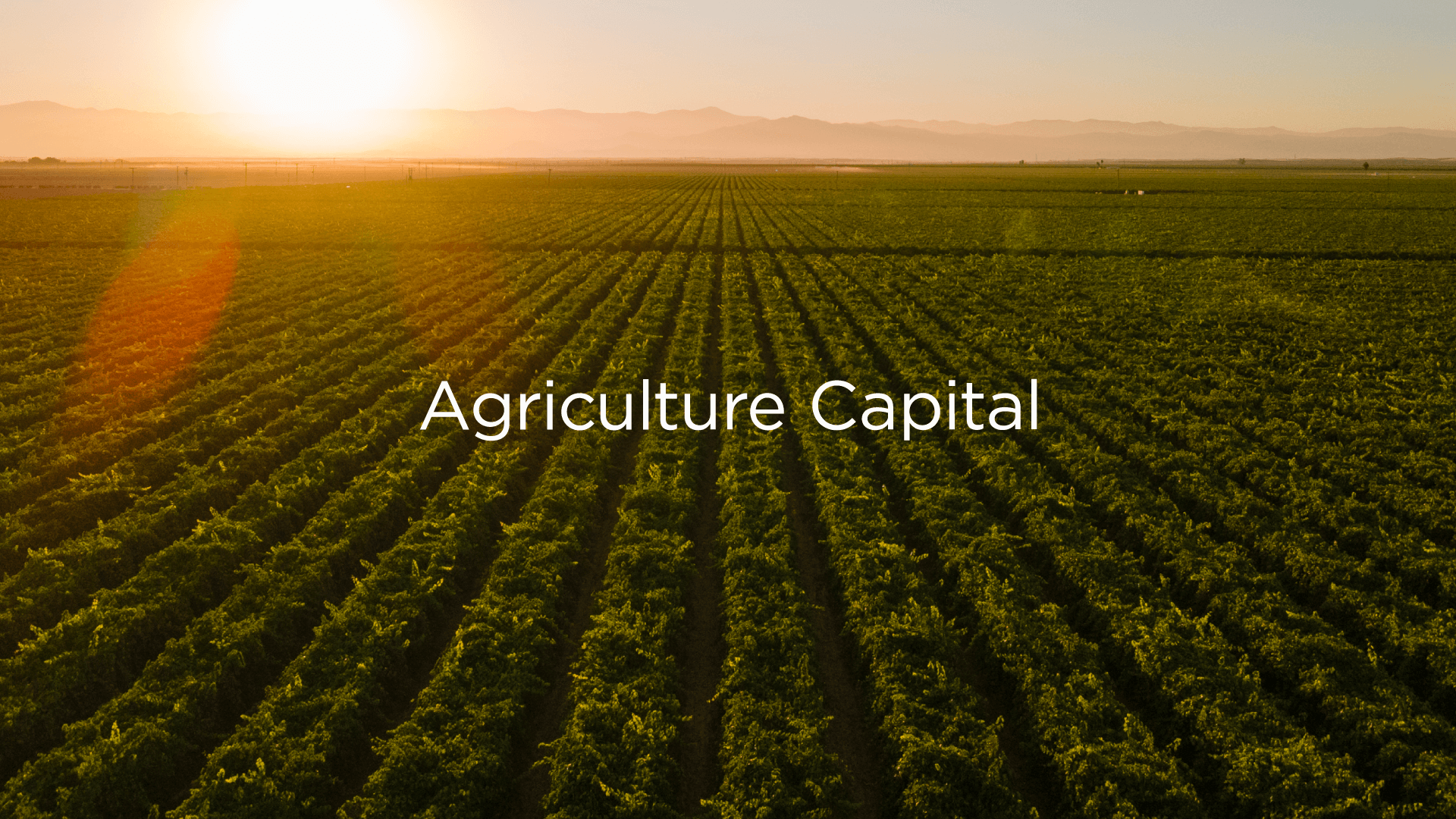 SBC_AgricultureCapital_IG-01-2