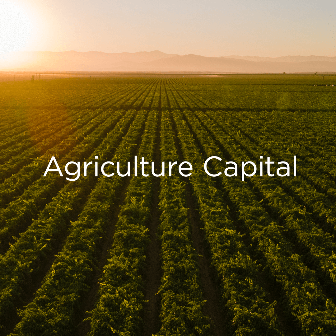 SBC_AgricultureCapital_IG-01