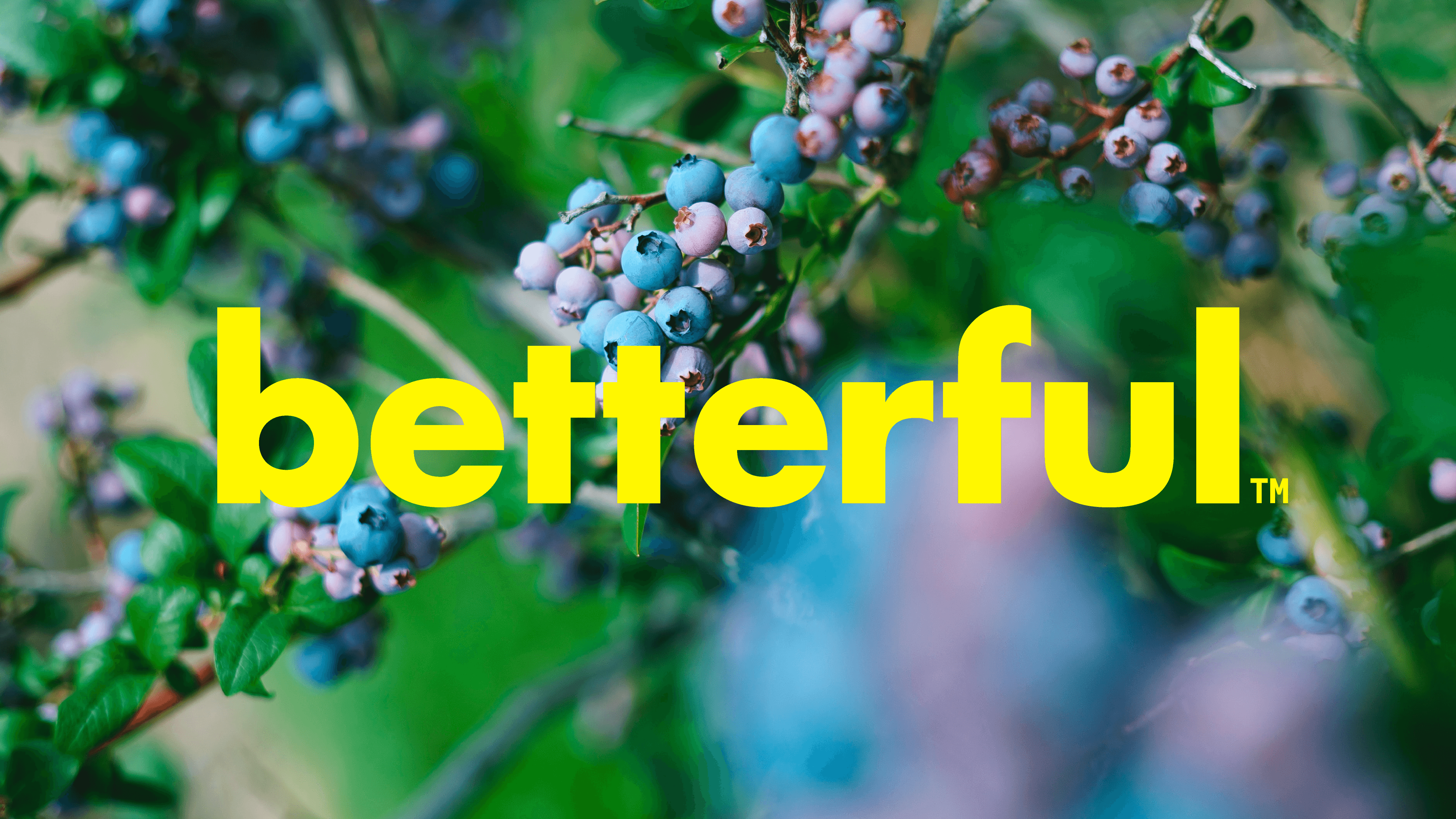 SBC_betterful_01_Cover-2